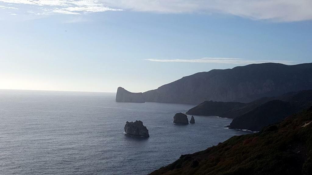 Punta Speranza * Nebida