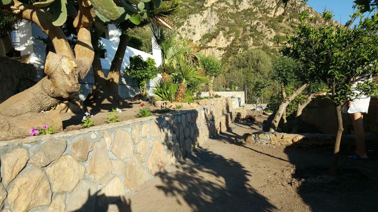 Punta Speranza *